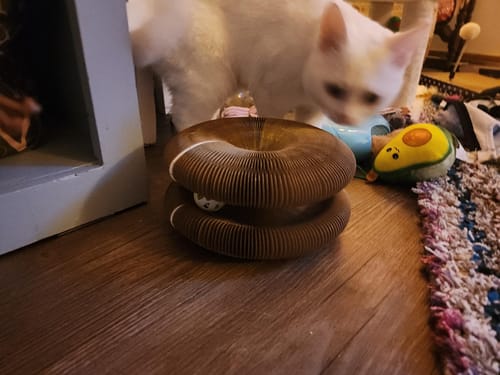 Foto de reseña de Sebastián M.