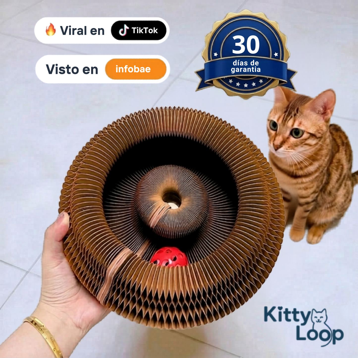 RASCADOR KITTY LOOP™ LIQUIDACIÓN - ULTIMAS UNIDADES