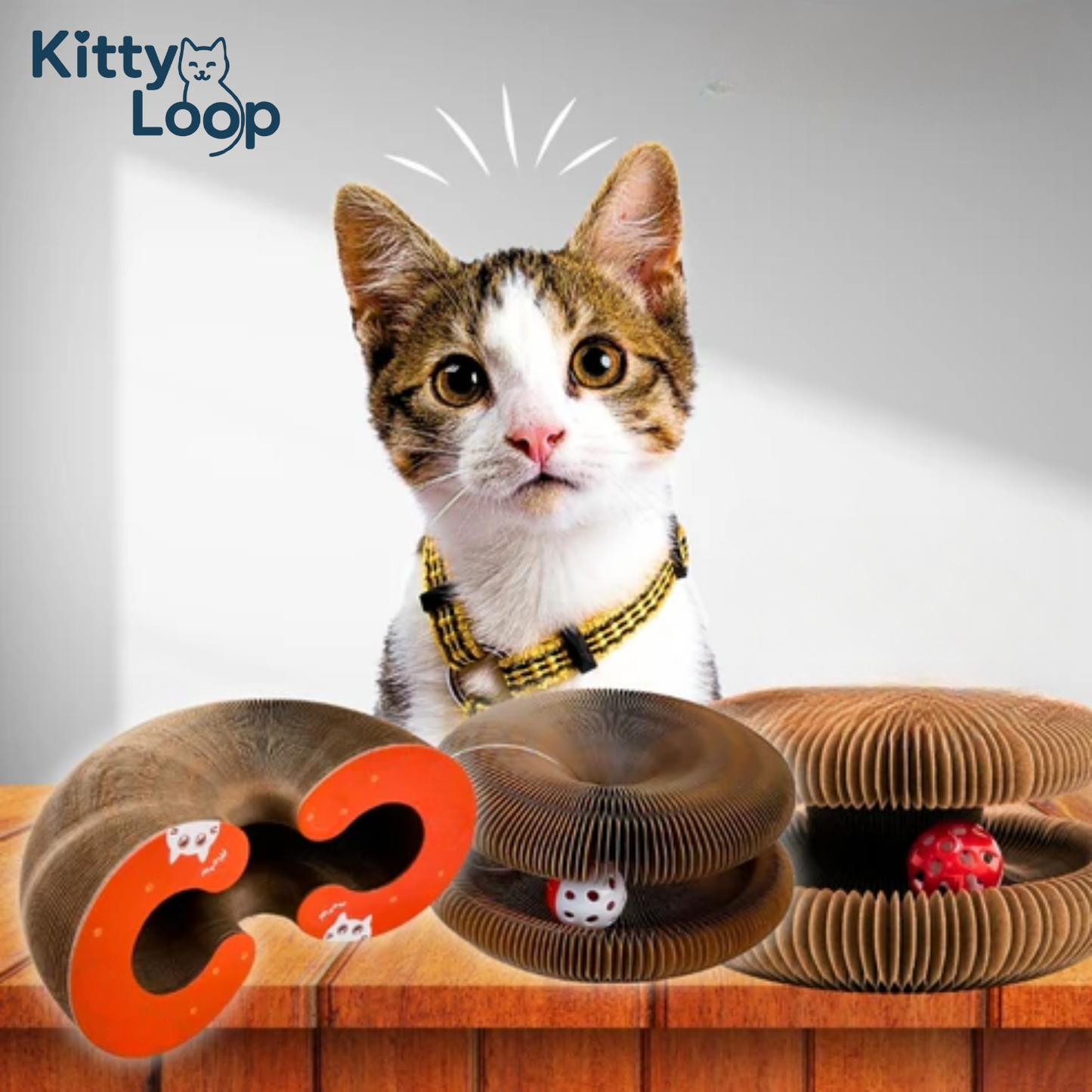 RASCADOR KITTY LOOP™ LIQUIDACIÓN - ULTIMAS UNIDADES