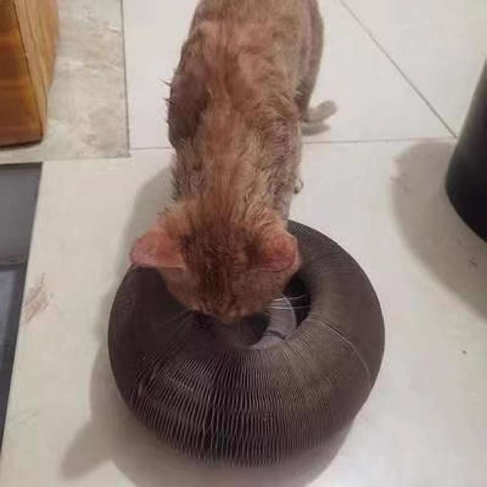 Foto de reseña de Melissa