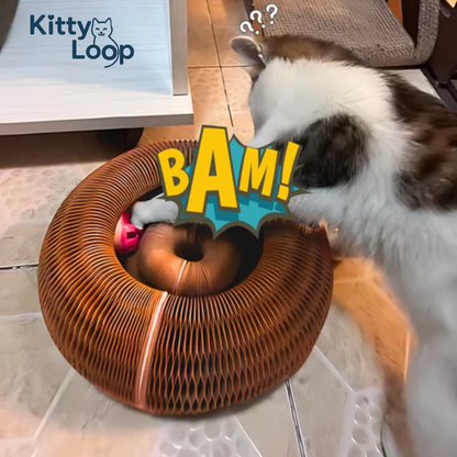 RASCADOR KITTY LOOP™ LIQUIDACIÓN - ULTIMAS UNIDADES
