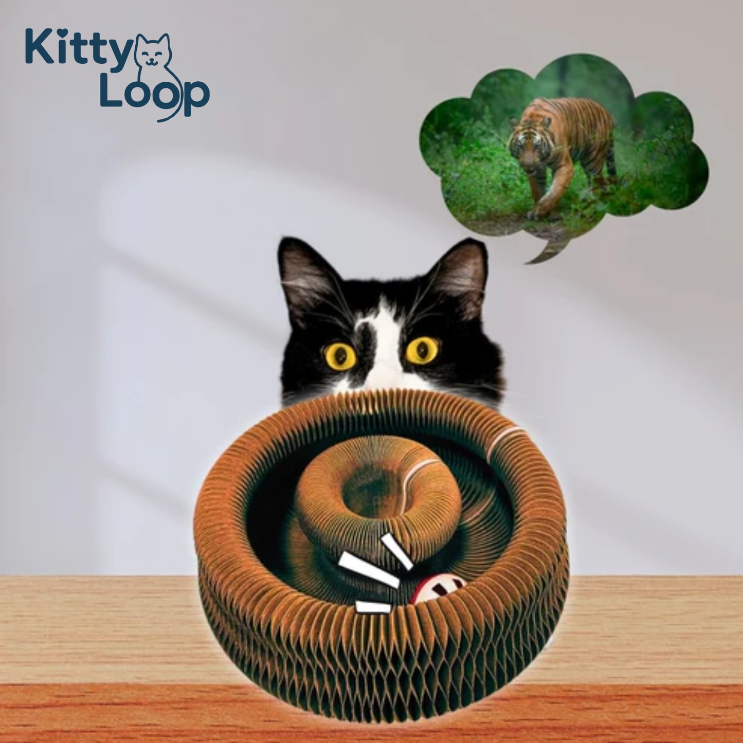 RASCADOR KITTY LOOP™ LIQUIDACIÓN - ULTIMAS UNIDADES