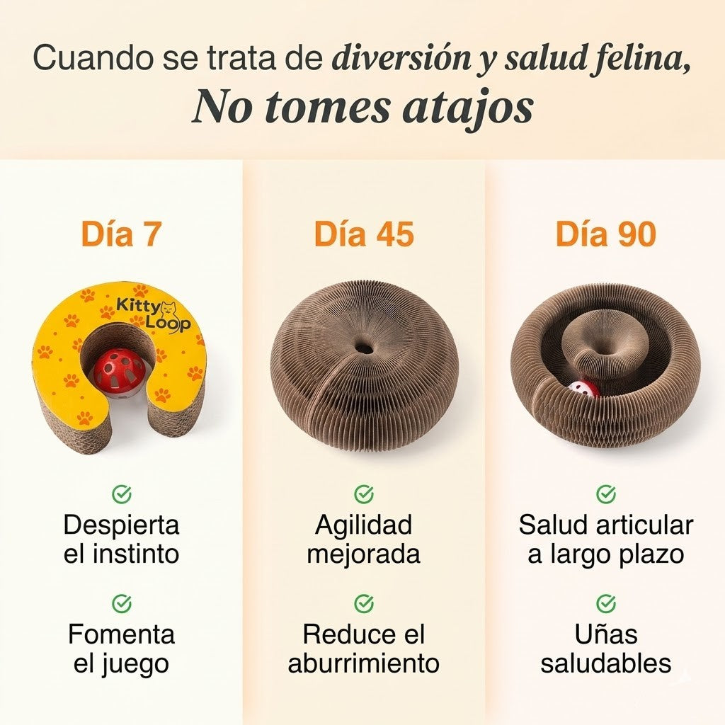 RASCADOR KITTY LOOP™ LIQUIDACIÓN - ULTIMAS UNIDADES